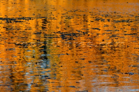 Autumn Leaves in Battersea Park London