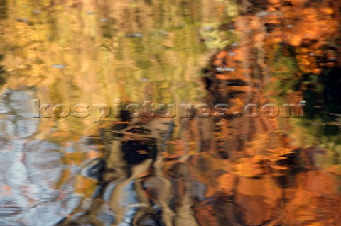 Autumn Leaves in Battersea Park London