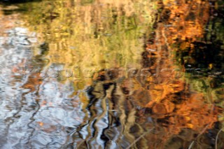 Autumn Leaves in Battersea Park London