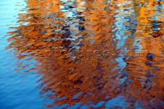 Autumn Leaves in Battersea Park London