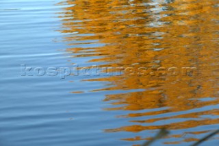 Autumn Leaves in Battersea Park London