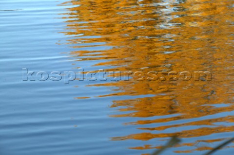 Autumn Leaves in Battersea Park London