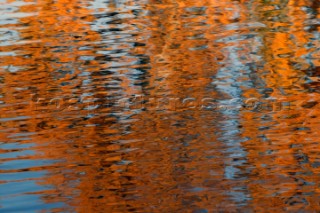 Autumn Leaves in Battersea Park London