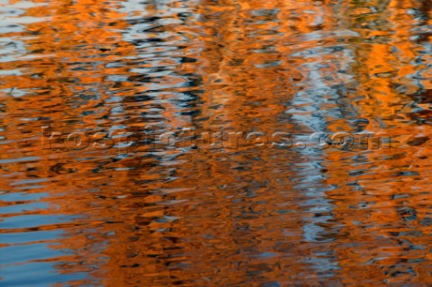 Autumn Leaves in Battersea Park London