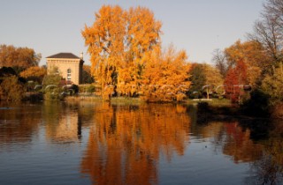 Autumn Leaves in Battersea Park London