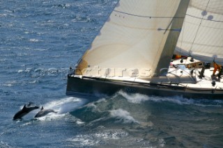 Mallacoota 27/12/2003. Rolex Sydney Hobart Race. Ichi Ban.  Rolex.