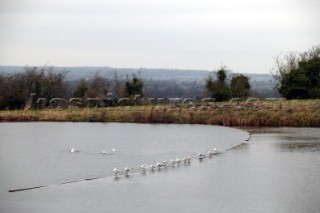 Seagulls and birds sit on lake. .  Canal boats on English Kennet and Avon Canals.