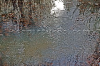 Stream running through woodland