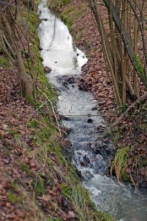 Stream running through woodland