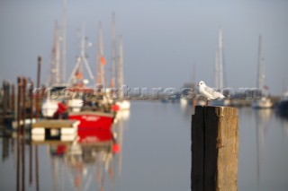 Southwold beach.