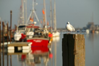 Southwold beach.