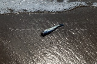 Lowestoft beach.