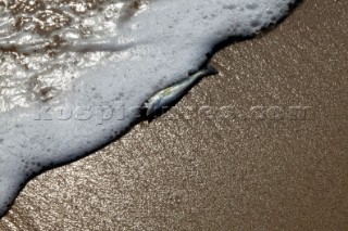 Lowestoft beach.