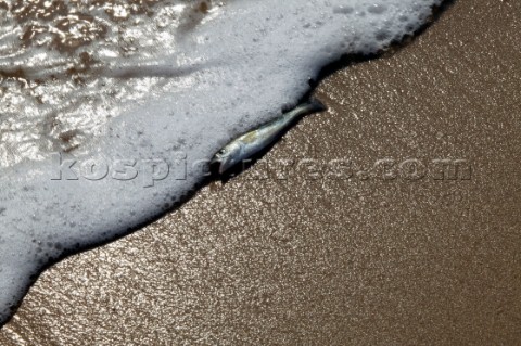 Lowestoft beach