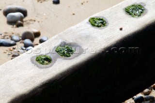 Lowestoft beach.