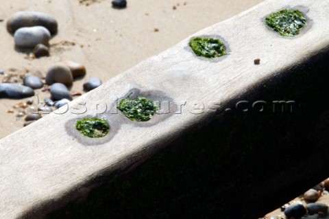 Lowestoft beach