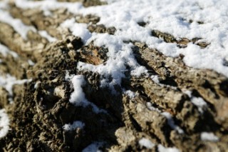 Snow and ice winter scenes UK