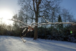 Snow and ice winter scenes UK