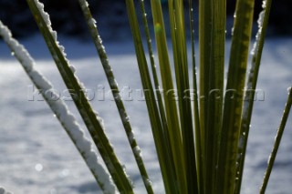 Snow and ice winter scenes UK