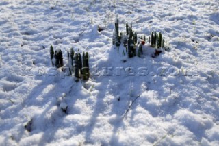 Snow and ice winter scenes UK