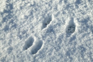 Snow and ice winter scenes UK