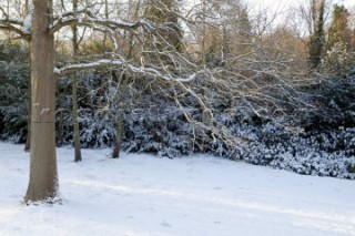 Snow and ice winter scenes UK