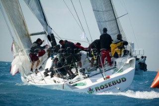 Rosebud at Key West Race Week 2004