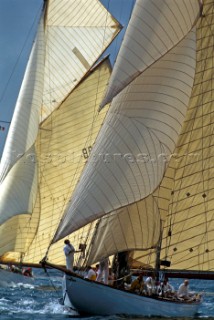 Fleet of Classic yachts