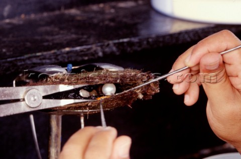 Isola di Ceram Estrazione delle perleCeram island Extraction of Pearls PhCarlo Borlenghi 