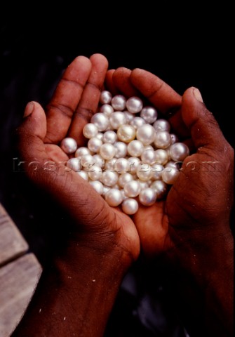 Perle australianeAustralian pearls PhCarlo Borlenghi 