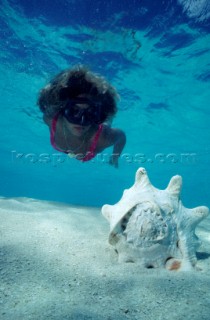 Conchiglie MaldiveShell Maldive. Ph.Fiorillo Federico /