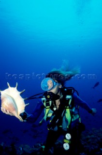 Conchiglie MaldiveShell Maldive. Ph.Fiorillo Federico /