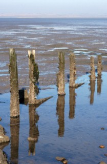 breakwater at Low tide Seasalter Whitstable