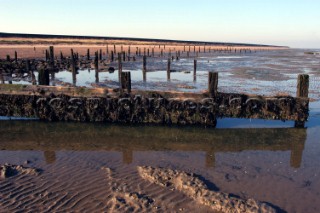 breakwater at Low tide Seasalter Whitstable