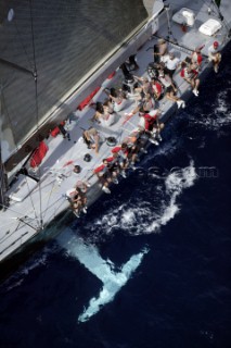 Rolex Maxi World Championship 2004 in Porto Cervo Sardinia. Genuine Risk.