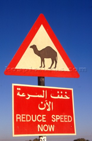 Road sign Dubai  United Arab Emirates