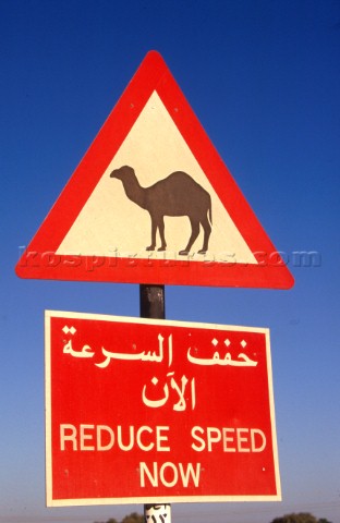 Road sign Dubai  United Arab Emirates 