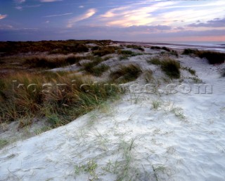 Sand dunes, East Head Beach, Chichester harbour, West Sussex