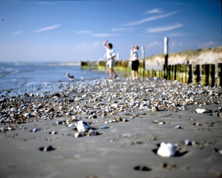 People with dog on East Head Beach at low tide, Chichester harbour, West Sussex