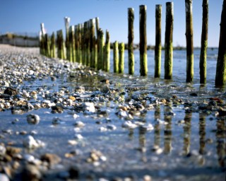 Reflection of breakwater posts on pebble beach at low tide, East Head Beach, West Sussex