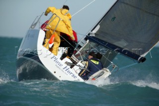 1D35 Plow Horse at Key West Race Week 2005