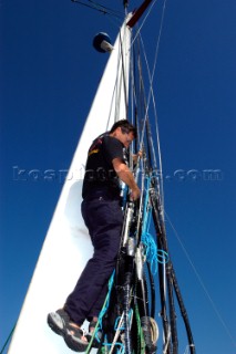 Skipper David Scully on mast Cheyenne