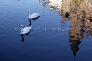 Brugge, Belgium. Ducks on the canal,