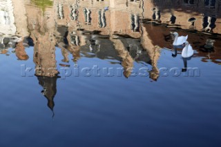 Ducks on the canal, Brugge, Belgium.