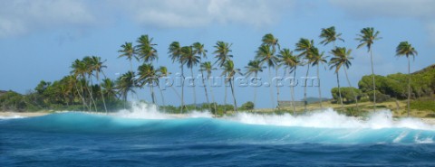 Waves breaking on beach at Petit Nevis whaling station visible in background