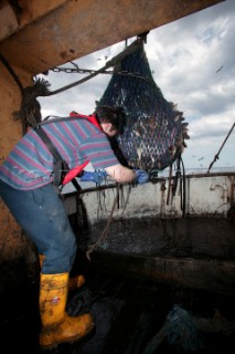 Fisherman hauling in heavy nets on the deck of fishing boat