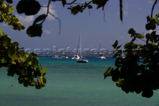 Jost Van Dyke Island - British Virgin Islands - Landscape near Great Harbour with moored boats