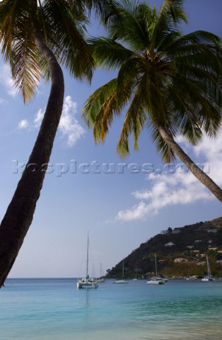 Tortola Island  British Virgin Islands  Caribbean Cane Garden Bay with moored boats