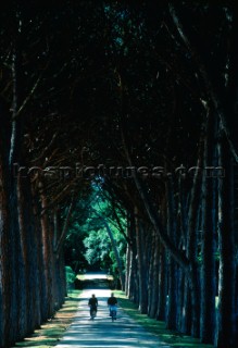 two cyclists riding through tree lined avenue, Brijoni Islands, Croatia