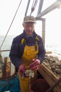 Oyster fishing Whitstable Kent, for Pacific and Native Oysters on the the traditional Oyster beds on the North Kent Coast of England